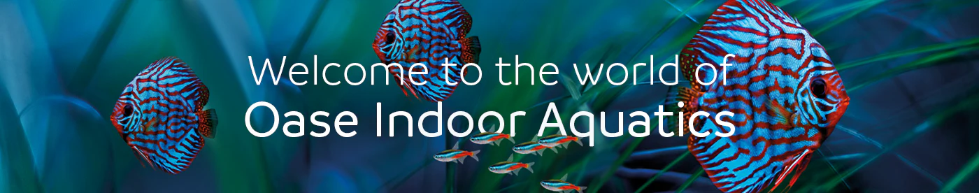 Master Your Aquatic World